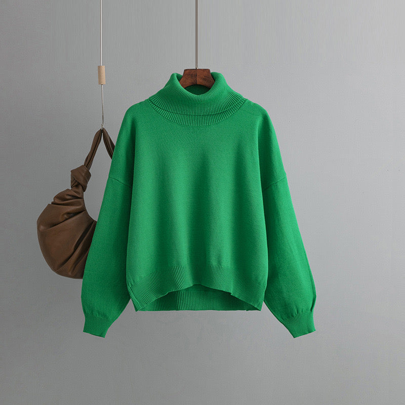 Sweaters Sw010