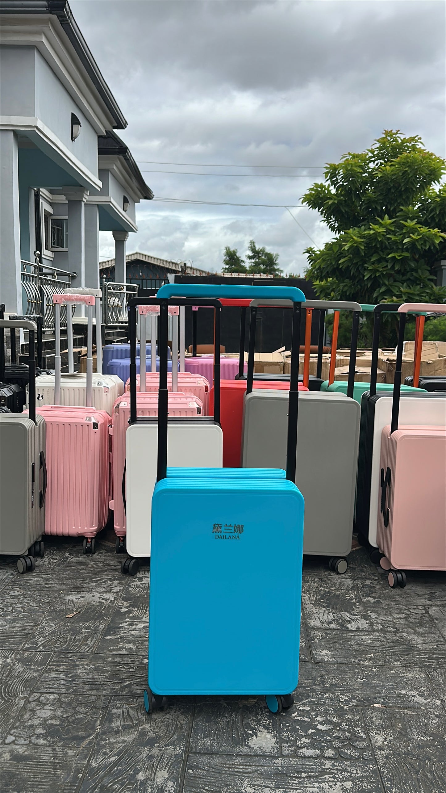 Travel muse B024