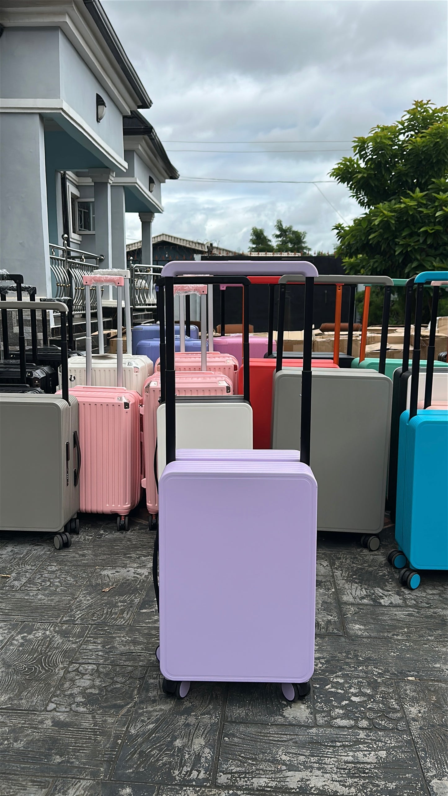 Travel muse B024