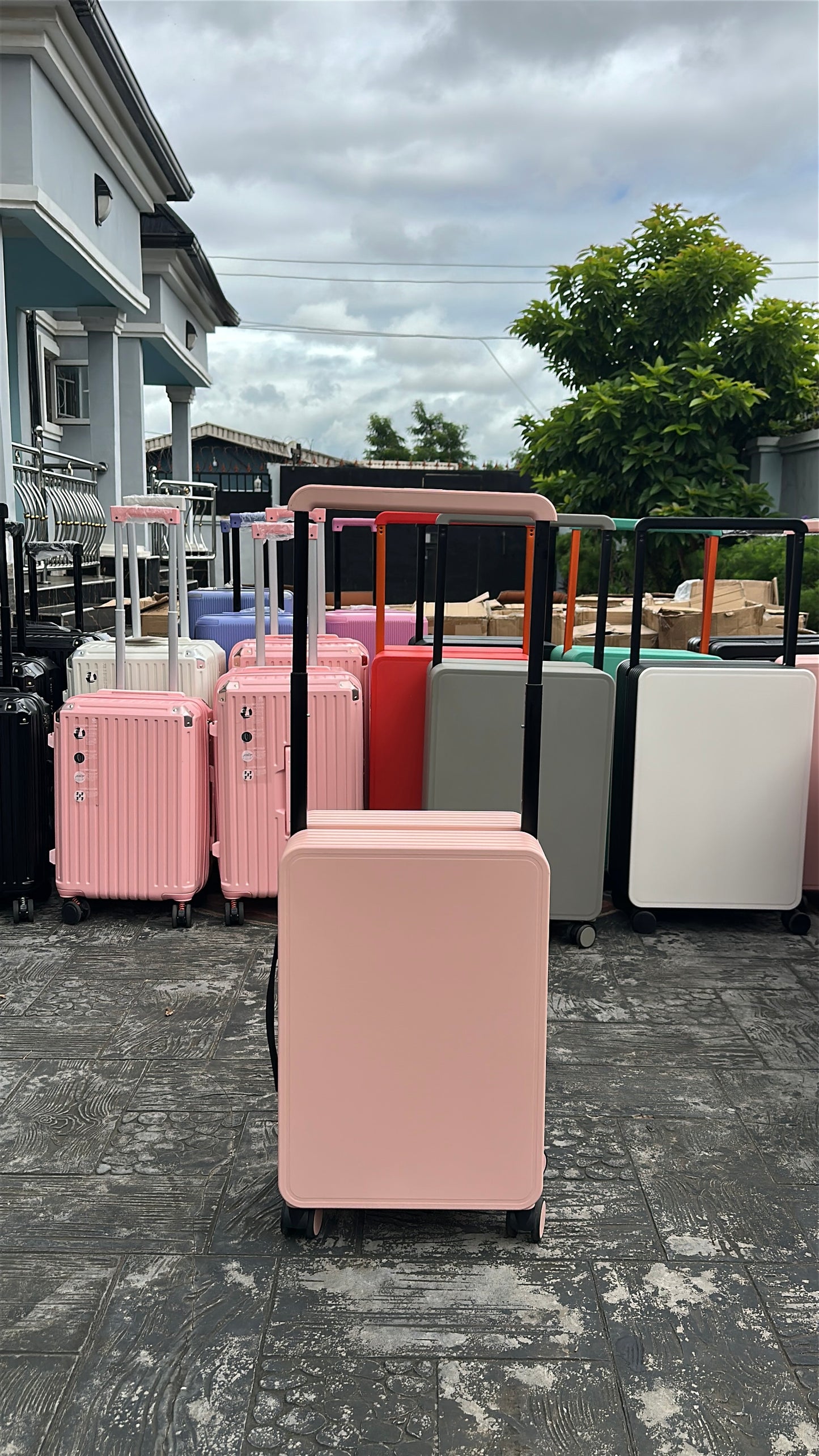 Travel muse B024