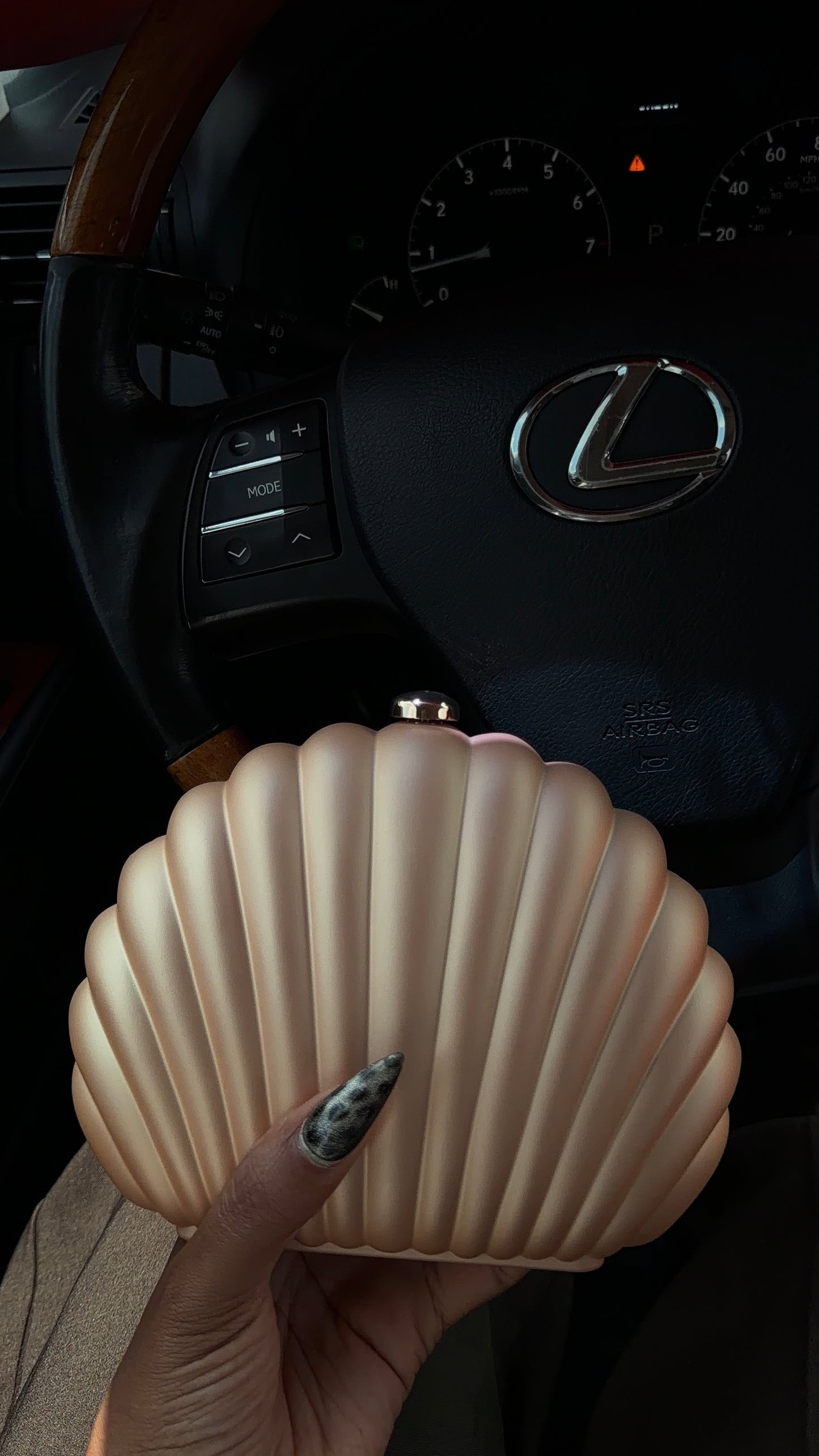 Coral Shell bag B353