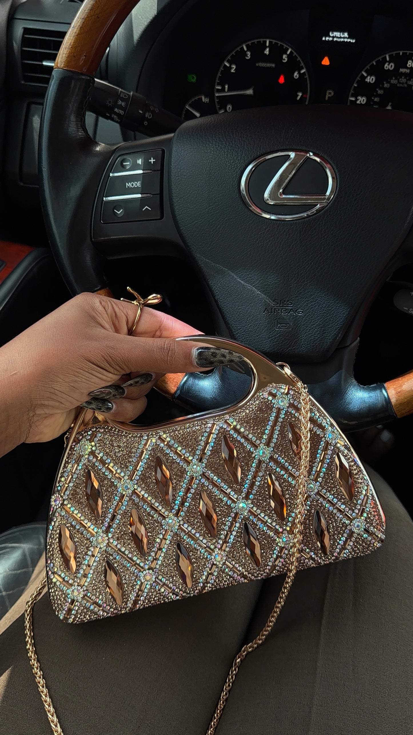 Princess Diana clutch B390